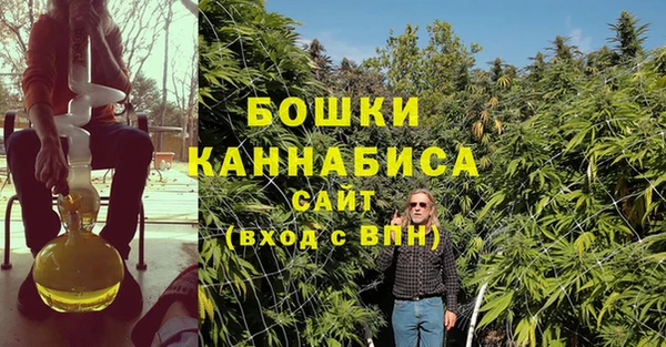 шишки Сосновый Бор