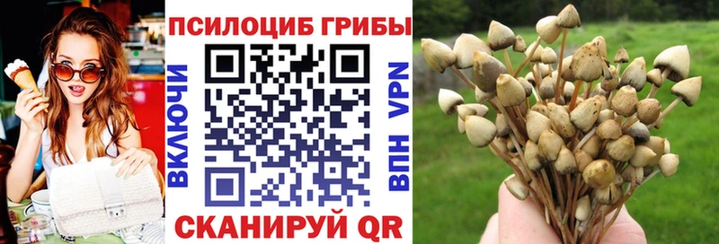 купить  цена  shop какой сайт  Галлюциногенные грибы ЛСД  Бутурлиновка 