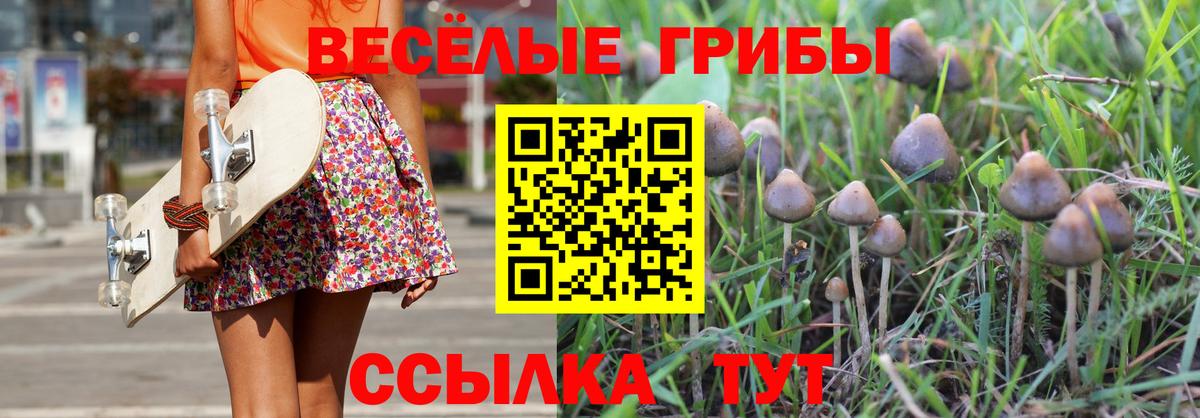 Галлюциногенные грибы Magic Shrooms  Галлюциногенные грибы мицелий  Вход с VPN  Бутурлиновка 